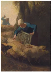 Počítání stáda, 1847-49