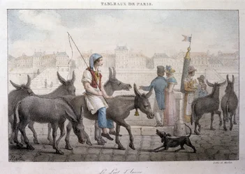 Bývalý pouliční obchod v Paříži: obchodník s oslím mlékem (Ane dans Paris) - rytina Jeana Henryho Marleta (1771-1847) v „“Les Tableaux de Paris“, série 72 tisků, konec 19. století