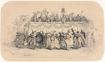 Koule hmyzu, 1835.