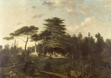 Libanonský cedr v Jardin des Plantes