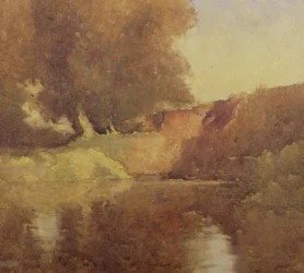 Pohled na stromy u potoka