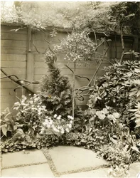Mr & Mrs John Morgan, 39 W 11 St, Greenwich Village, New York, USA, cca 1939-40 (želatinová stříbrná fotografie)