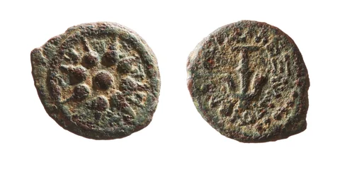 Mince Alexandra Jannaia