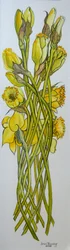 Narcisy, 2008,