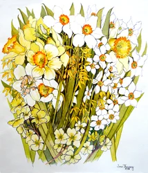 Narcisy, narcisy, forzýtie a primulky, 2000