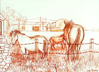 Serenáda, Janie a osel na louce, 2000, (Terracotta Conte`)