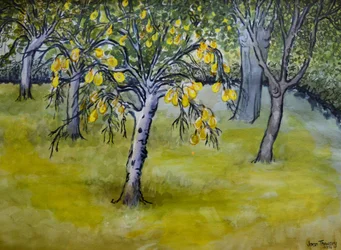 Malá hruška,2005