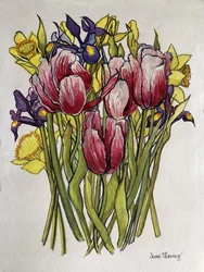 Tulipány, narcisy a kosatec