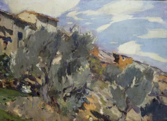 Vesnice, pomerančovník