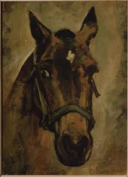 CABEZA DE CABALLO. Umělec: JOAQUIN SOROLLA. Místo: SOUKROMÁ KOLEKCE, MADRID, ŠPANĚLSKO