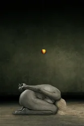 Hide my self, 2013 (manipulace s fotografiemi)