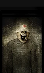 Hurt, 2013 (manipulace s fotografiemi)