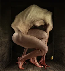 Hanba, 2012 (fotografie)
