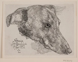 Dánsky: Hundehoved, Snip