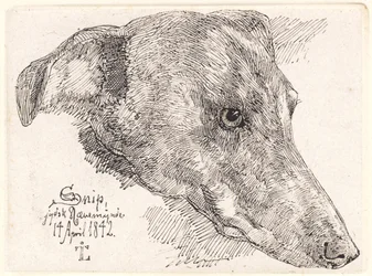 Dánsky: Hundehoved, Snip