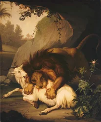Lev útočící na kozu, 1785