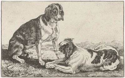 Dva psi