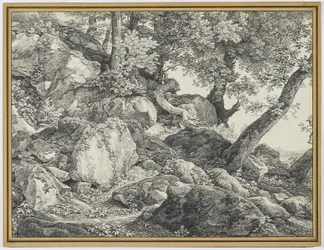 V parku Palazzo Chigi, Ariccia, 1818 (grafit a černá křída na papíře)