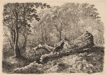 Formování kmene stromu, 1794.