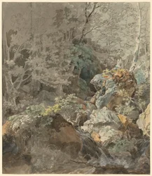 Vodopády v horském lese