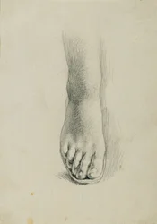 Studie nohou pro "Arindal a Daura"