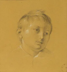 hlava chlapce