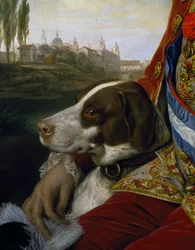 Pes, detail z portrétu Ferdinanda Bourbonského, vévody z Parmy