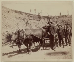 1889 - Prospektoři jdoucí na zlatá pole (čb fotografie)