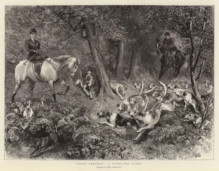 Hard Pressed, Woodland Scene