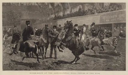 Koňská show v zemědělské hale, poníci v ringu