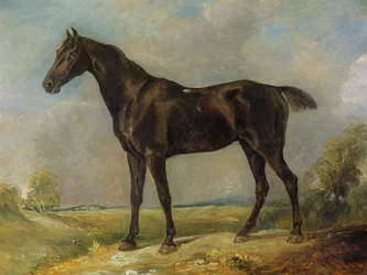 Černý jezdecký kůň Goldinga Constabla, kolem roku 1805-10