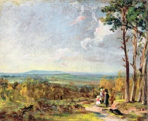 Hampstead Heath Pohled K Harrowovi