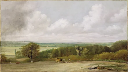 Krajina: Orba scéna v Suffolku (A Summerland) kolem roku 1824 (olej na plátně)