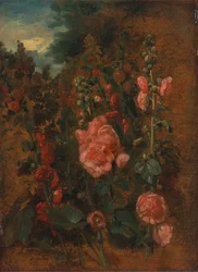 Studie topolovky, ca. 1826.