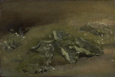 Studie lopuchu, kolem 1810-14 nebo kolem 1828