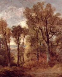 Woodland View v Suffolku (olej na plátně)