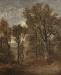 Lesní scéna s výhledem na Dedham Vale, kolem 1802-03
