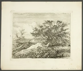 V Bawburghu