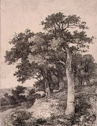 V Colney, hospoda. od J. & W. Freemana