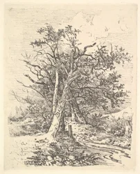 Kmeny a ulička stromů, 1811-13.