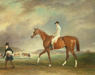 Kaštanový dostihový kůň Cur s žokejem na Newmarket Heath
