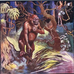 Před námi stála obrovská gorila (barva litho)