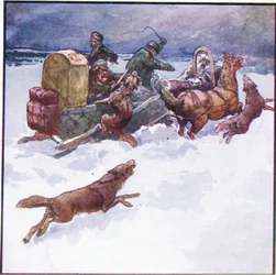 Můj společník chladně vrazil jednu ze svých paží do vlčí tlamy (barva litho)