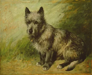 Cáry