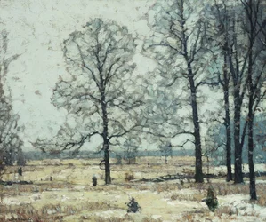 Zimní Hickories