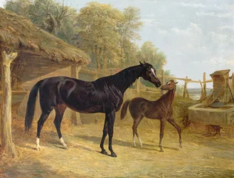 Levity, majetek J. C. Cockerilla Esq., se svým hříbětem Queen Elizabeth, majetkem lorda Dorchestera, 1843