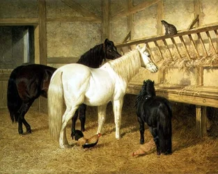 Poníci u jesliček