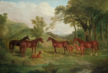 Hřebčín ve Streatlamu, klisny a hříbata, 1836