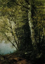 Studie o bucích, 1872.