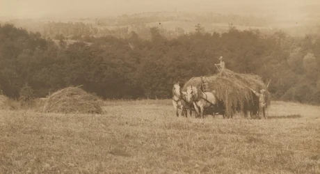 Nakládání sena,1890-1900 (foto)